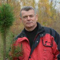 Отзыв от Эльдар - DTV виза